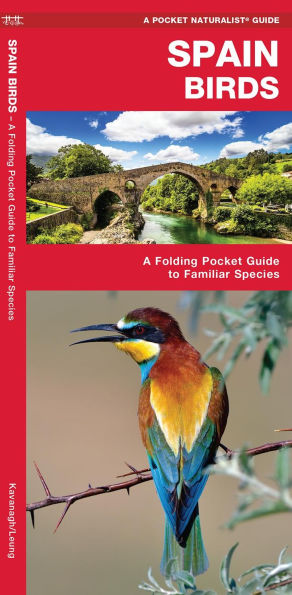 Spain Birds: A Folding Pocket Guide to Familiar Species