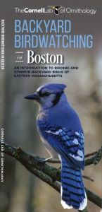 Title: Backyard Birdwatching in Boston: An Introduction to Birding and Common Backyard Birds of Eastern Massachusetts, Author: Waterford Press Waterford Press