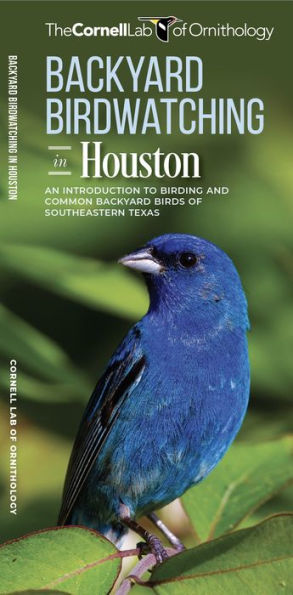 Backyard Birdwatching in Houston: An Introduction to Birding and Common Backyard Birds of Southeastern Texas