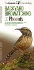 Backyard Birdwatching in Phoenix: An Introduction to Birding and Common Backyard Birds of Southern Arizona