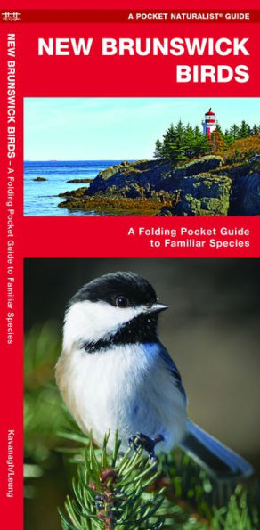 New Brunswick Birds: A Folding Pocket Guide to Familiar Species