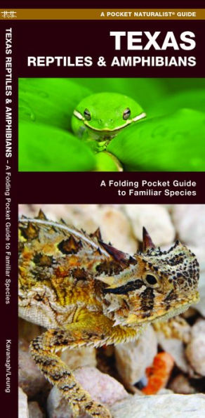Texas Reptiles & Amphibians: A Folding Pocket Guide to Familiar Species