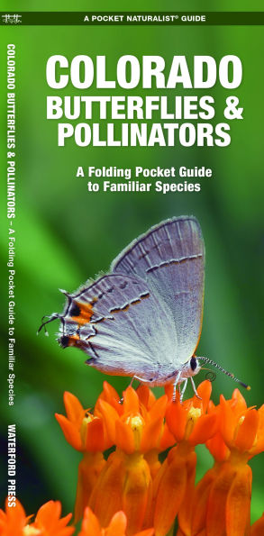Colorado Butterflies & Pollinators: A Folding Pocket Guide to Familiar Species
