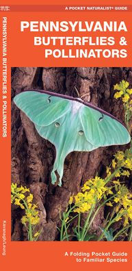 Pennsylvania Butterflies & Pollinators: A Folding Pocket Guide to Familiar Species