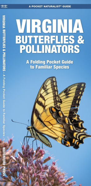 Virginia Butterflies & Pollinators: A Folding Pocket Guide to Familiar Species