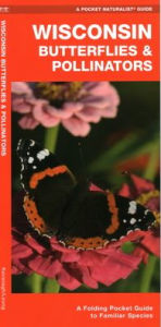 Title: Wisconsin Butterflies & Pollinators: A Folding Pocket Guide to Familiar Species, Author: James Kavanagh