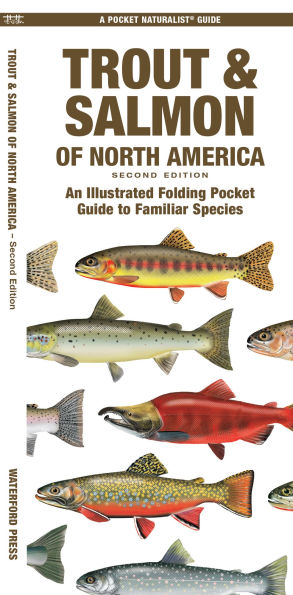 Trout & Salmon of North America: An Illustrated Folding Pocket Guide to Familiar Species