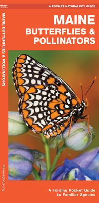 Maine Butterflies & Pollinators: A Folding Pocket Guide to Familiar Species