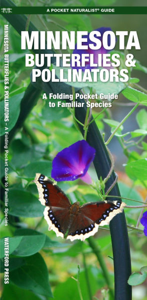 Minnesota Butterflies & Pollinators: A Folding Pocket Guide to Familiar Species