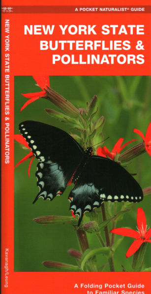 New York State Butterflies & Pollinators: A Folding Pocket Guide to Familiar Species