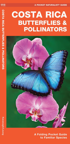 Costa Rica Butterflies & Pollinators: A Folding Pocket Guide to Familiar Species