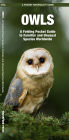 Owls: A Folding Pocket Guide to Familiar Species Worldwide