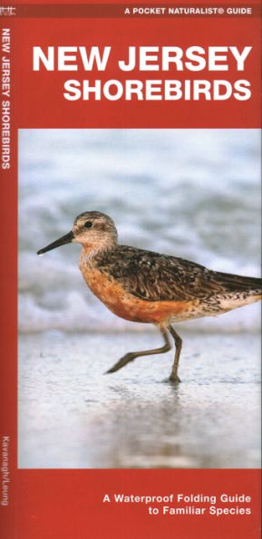 New Jersey Shorebirds: A Waterproof Folding Guide to Familiar Species