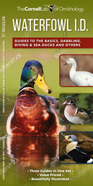 Waterfowl ID Set: A Complete Supplement to Indentify Waterfowl Based on "Where's the white?"