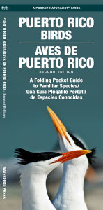 Title: Puerto Rico Birds/Aves de Puerto Rico (Bilingual): A Folding Pocket Guide to Familiar Species/Una Guia Plegable Portail de Especies Conocidas, Author: James Kavanagh Waterford Press