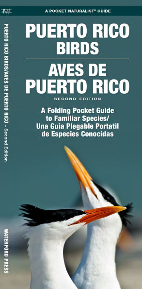 Puerto Rico Birds/Aves de Puerto Rico (Bilingual): A Folding Pocket Guide to Familiar Species/Una Guia Plegable Portail de Especies Conocidas
