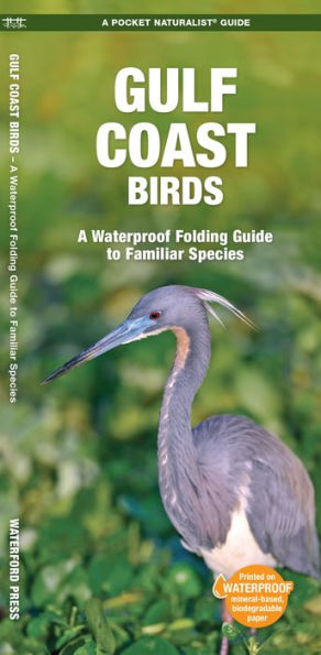 Gulf Coast Birds: A Folding Guide to Familiar Species