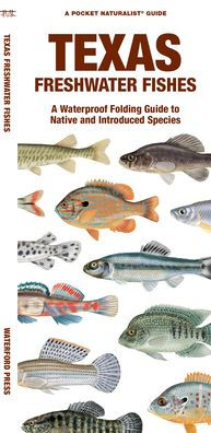 Barnes and Noble North Carolina Freshwater Fishes: A Waterproof Folding  Guide to Native and Introduced Species