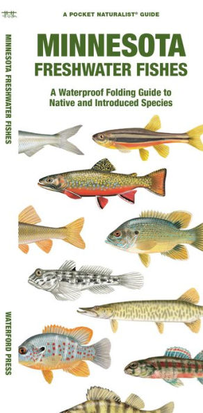 Minnesota Freshwater Fishes: A Folding Guide to Native and Introduced Species