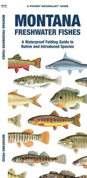 Montana Freshwater Fishes: A Folding Guide to Native and Introduced Species