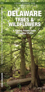 Title: Delaware Trees & Wildflowers: A Folding Pocket Guide to Familiar Species, Author: James Kavanagh Waterford Press