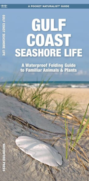 Gulf Coast Seashore Life: A Folding Guide to Familiar Animals & Plants