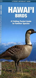 Title: Hawai'i Birds, 2nd Ed, Author: Waterford Press