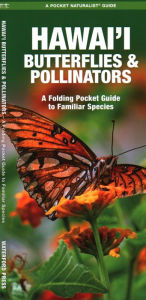 Title: Hawai'i Butterflies and Pollinators, Author: Waterford Press Waterford Press
