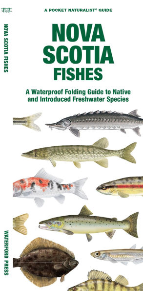 Nova Scotia Fishes: A Folding Guide to Native and Introduced Freshwater Species