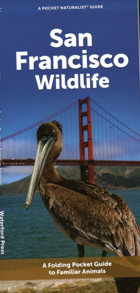 San Francisco Wildlife: A Folding Pocket Guide to Familiar Animals