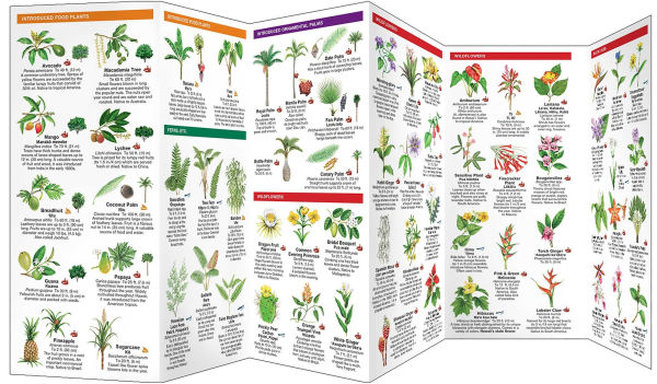 Hawai'i Trees & Wildflowers, 2nd Ed