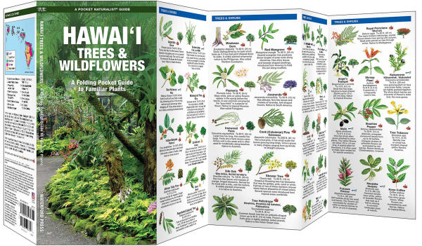 Hawai'i Trees & Wildflowers, 2nd Ed