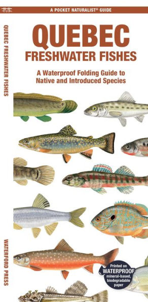 Quebec Fishes: A Waterproof Folding Guide to Native and Introduced Species