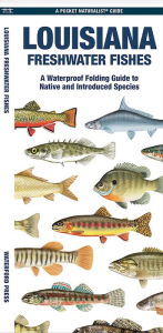 Title: Louisiana Freshwater Fishes: A Waterproof Folding Guide to Native and Introduced Species, Author: Waterford Press