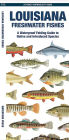 Louisiana Freshwater Fishes: A Waterproof Folding Guide to Native and Introduced Species
