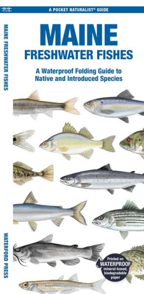 Maine Freshwater Fishes: A Folding Guide to Native and Introduced Species