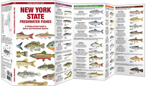 New York State Freshwater Fishes