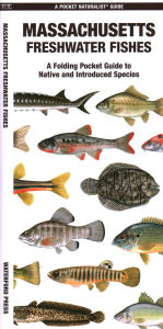 Title: Massachusetts Freshwater Fishes, Author: Waterford Press Waterford Press