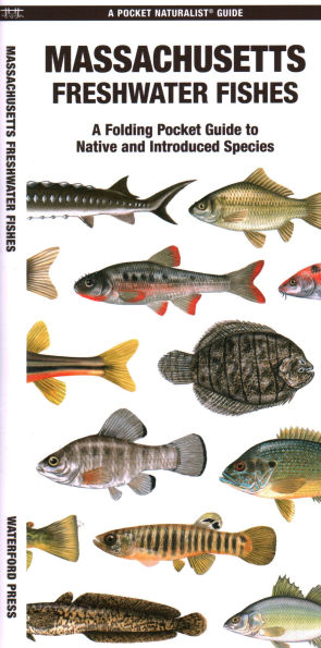 Massachusetts Freshwater Fishes: A Folding Guide to Native and Introduced Species