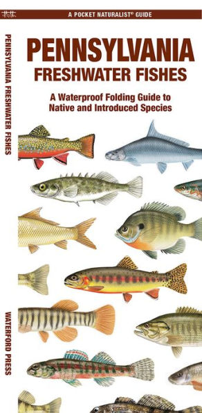 Pennsylvania Freshwater Fishes: A Folding Guide to Native and Introduced Species