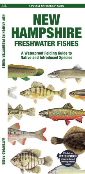 New Hampshire Freshwater Fishes: A Folding Guide to Native and Introduced Species