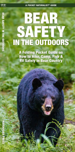 Bear Safety in the Outdoors