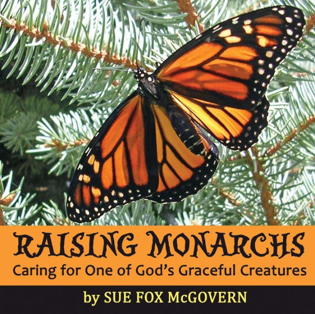 Raising Monarchs: Caring for One of God's Graceful Creatures by Sue Fox ...