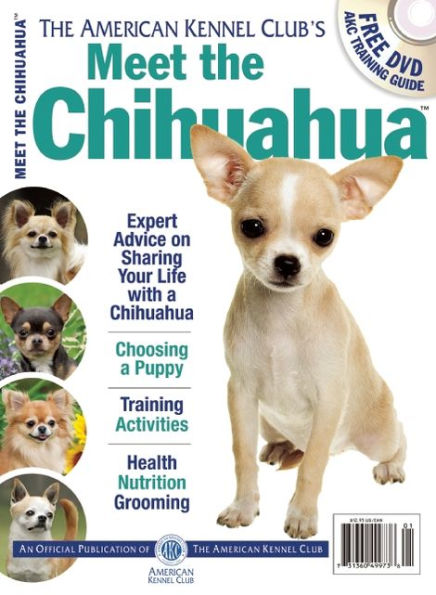 Meet the Chihuahua