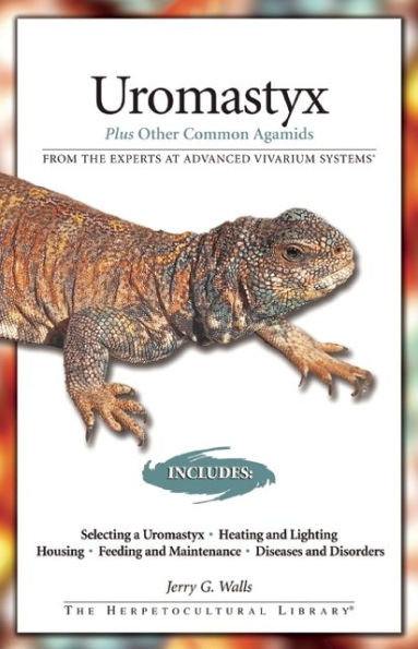 Uromastyx: Plus Other Common Agamids