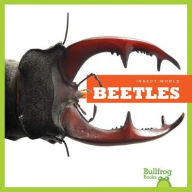 Title: Beetles, Author: Mari Schuh
