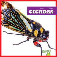 Title: Cicadas, Author: Mari C Schuh