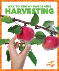 Title: Harvesting, Author: Rebecca Pettiford