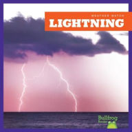Title: Lightning, Author: Jenny Fretland VanVoorst