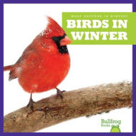 Title: Birds in Winter, Author: Jennifer Fretland VanVoorst